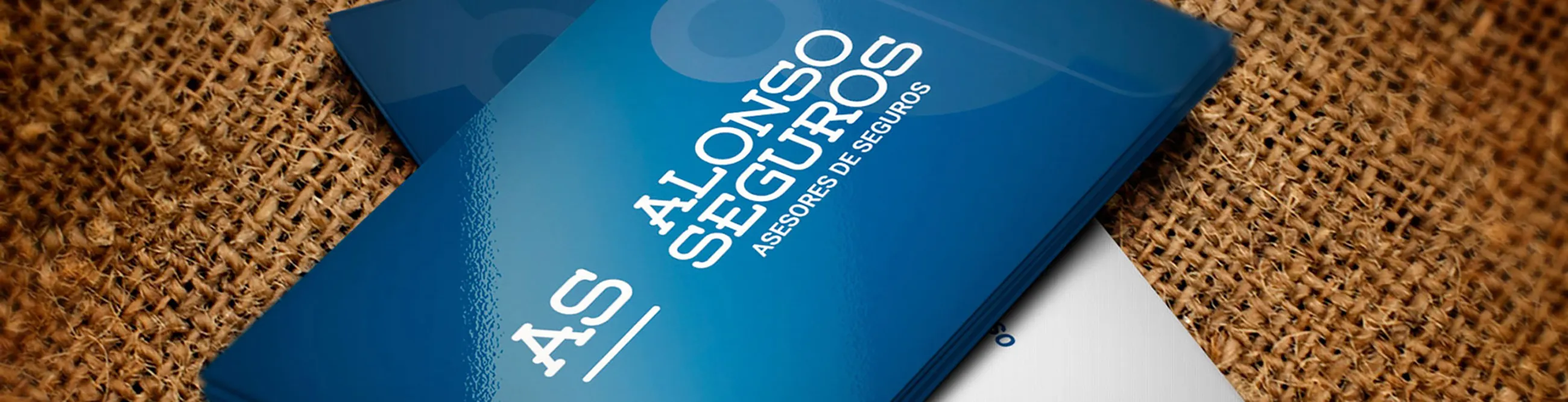 ALONSO Seguros Inicio